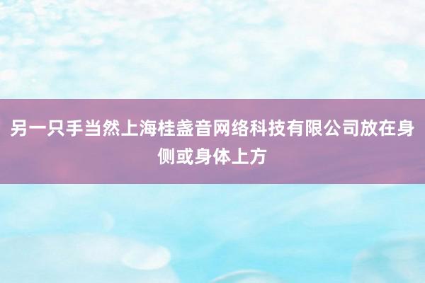 另一只手当然上海桂盏音网络科技有限公司放在身侧或身体上方