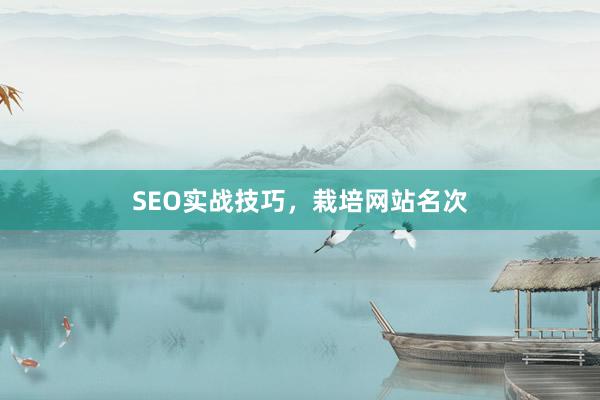 SEO实战技巧,栽培网站名次