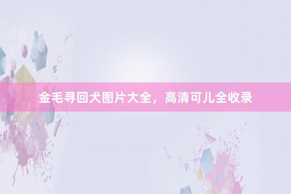 金毛寻回犬图片大全，高清可儿全收录