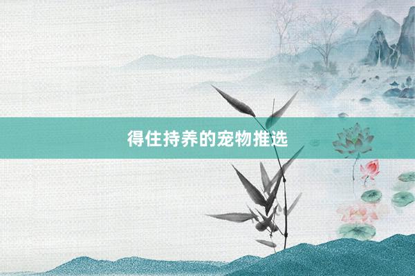 得住持养的宠物推选