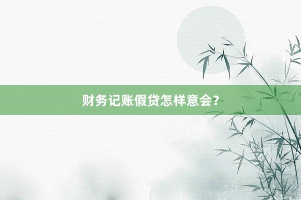 财务记账假贷怎样意会？